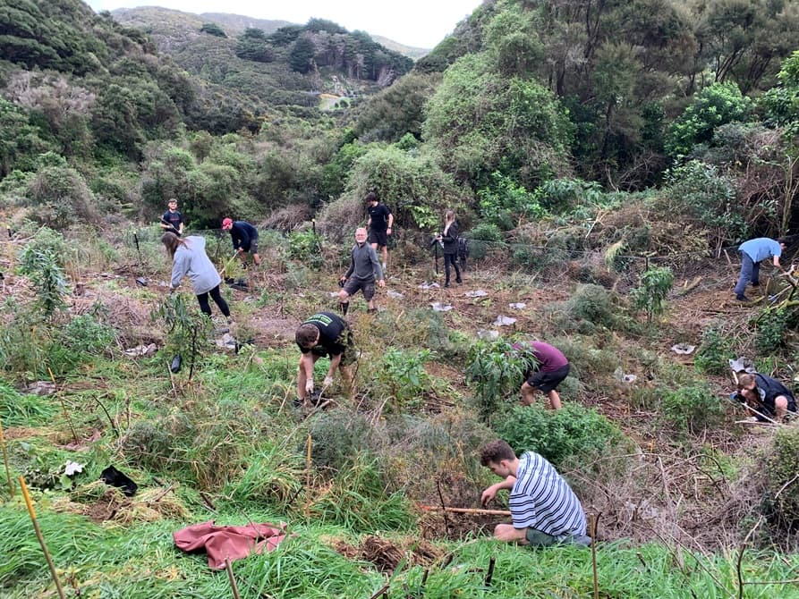 Volunteers planting on Mākara peak