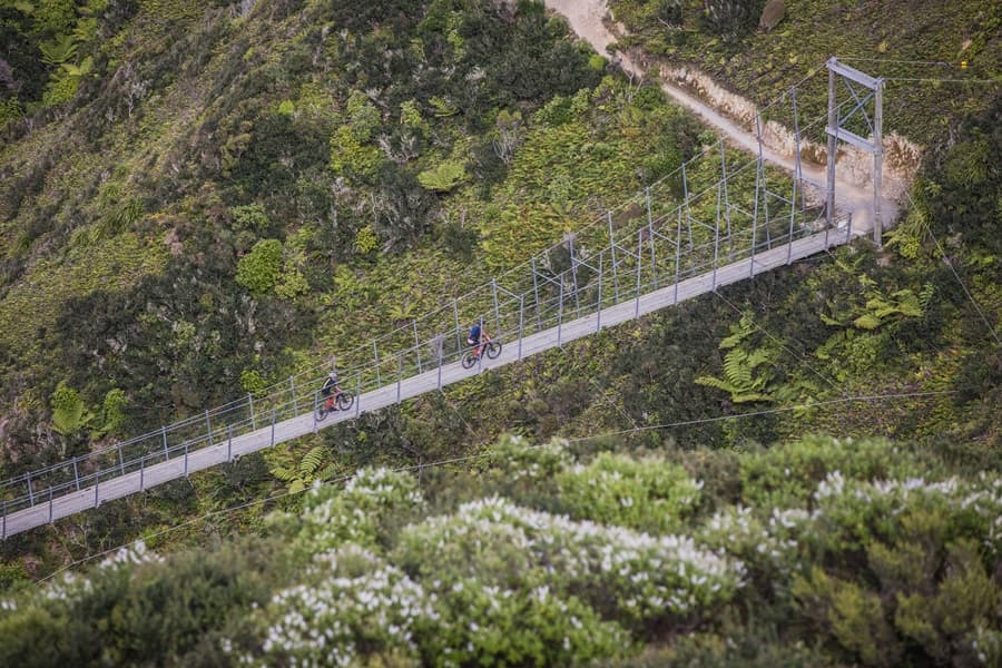 Bridge up to Mākara Peak