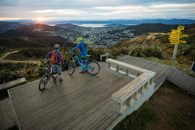 View from the top of Mākara peak